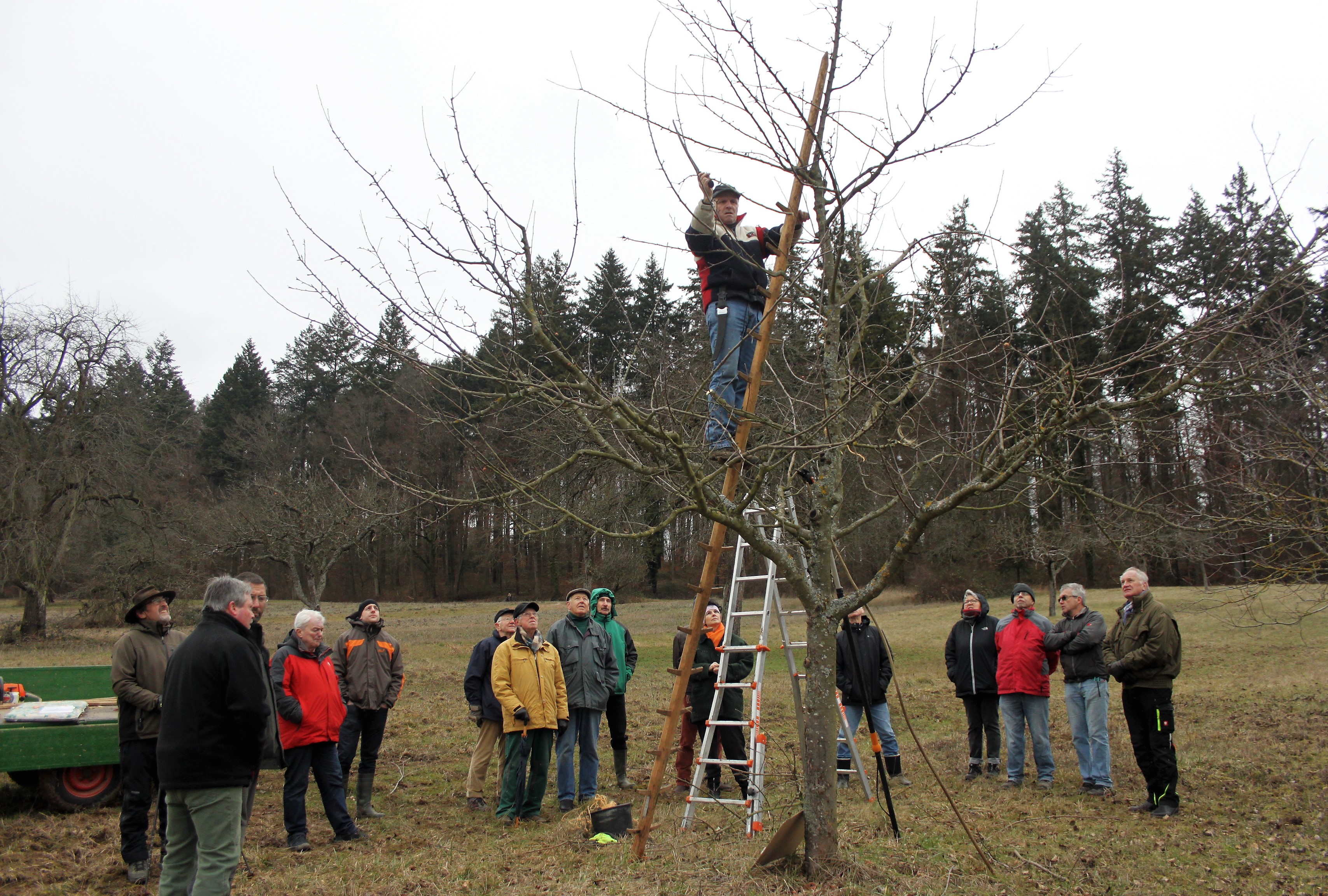 Winterschnittkurs