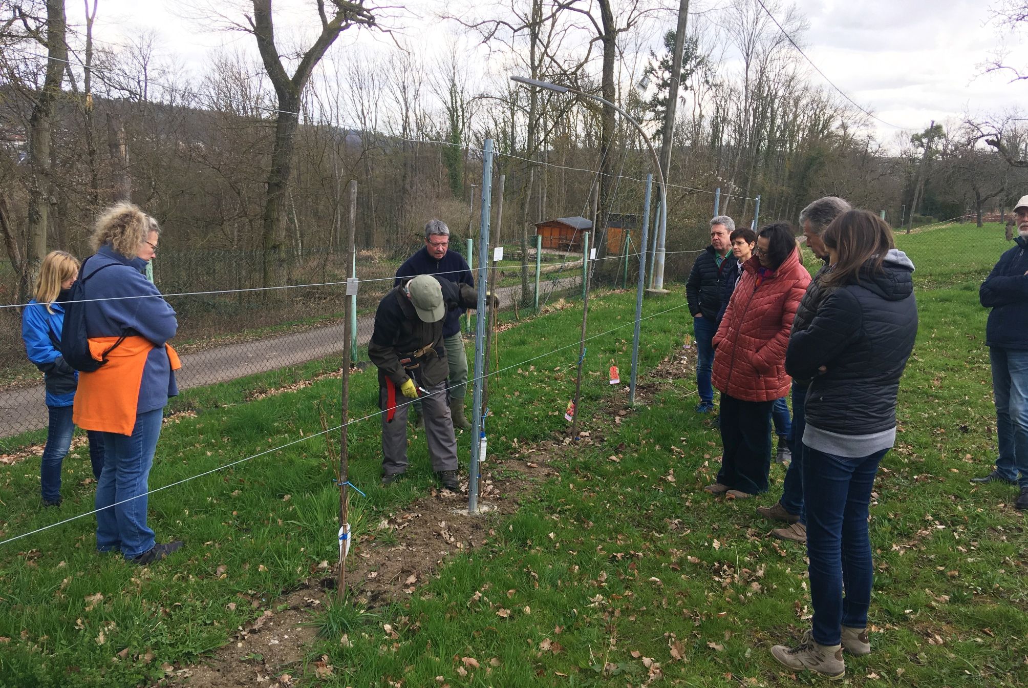 Hausgartenschnittkurs