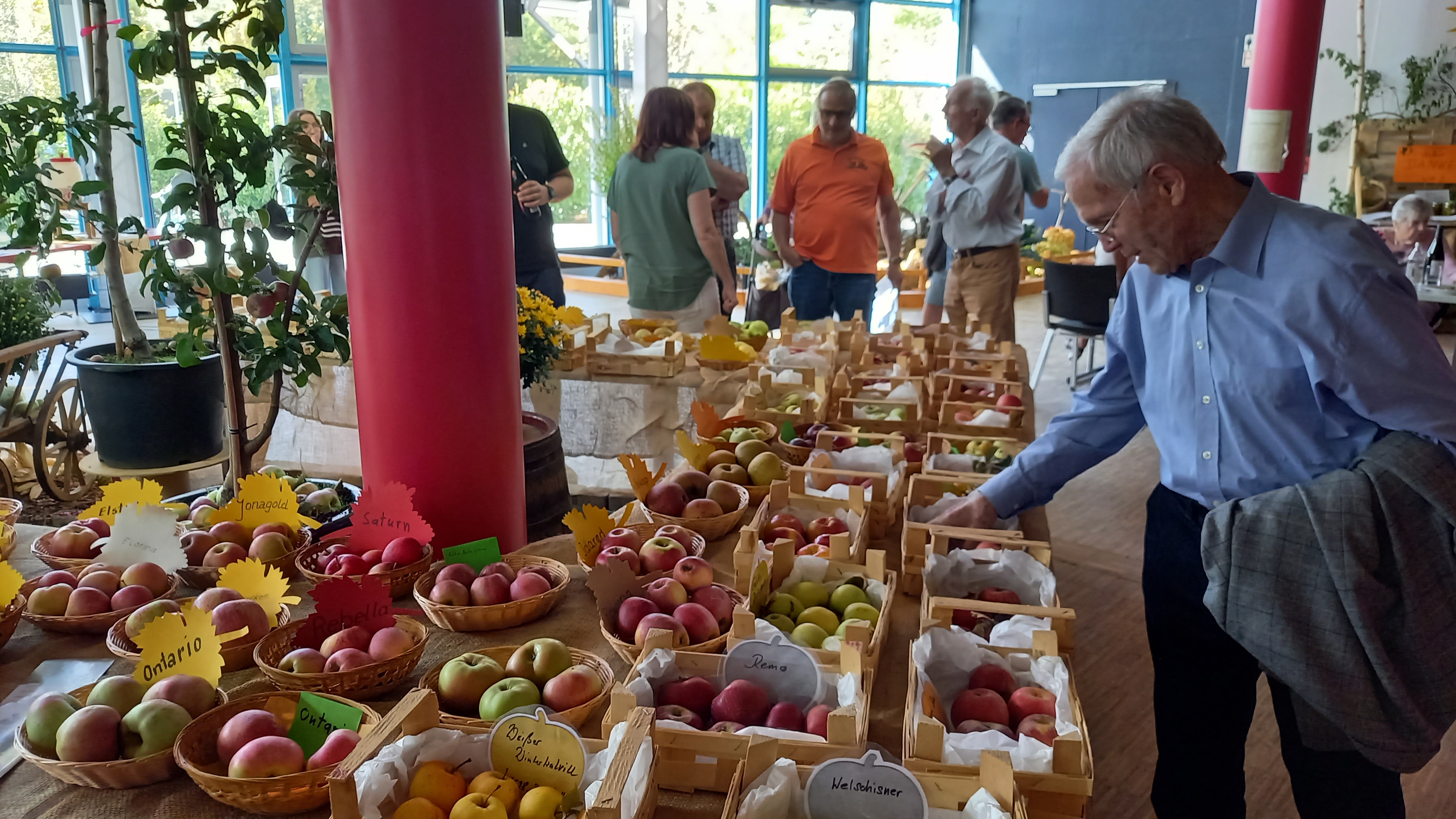 Sortenausstellung