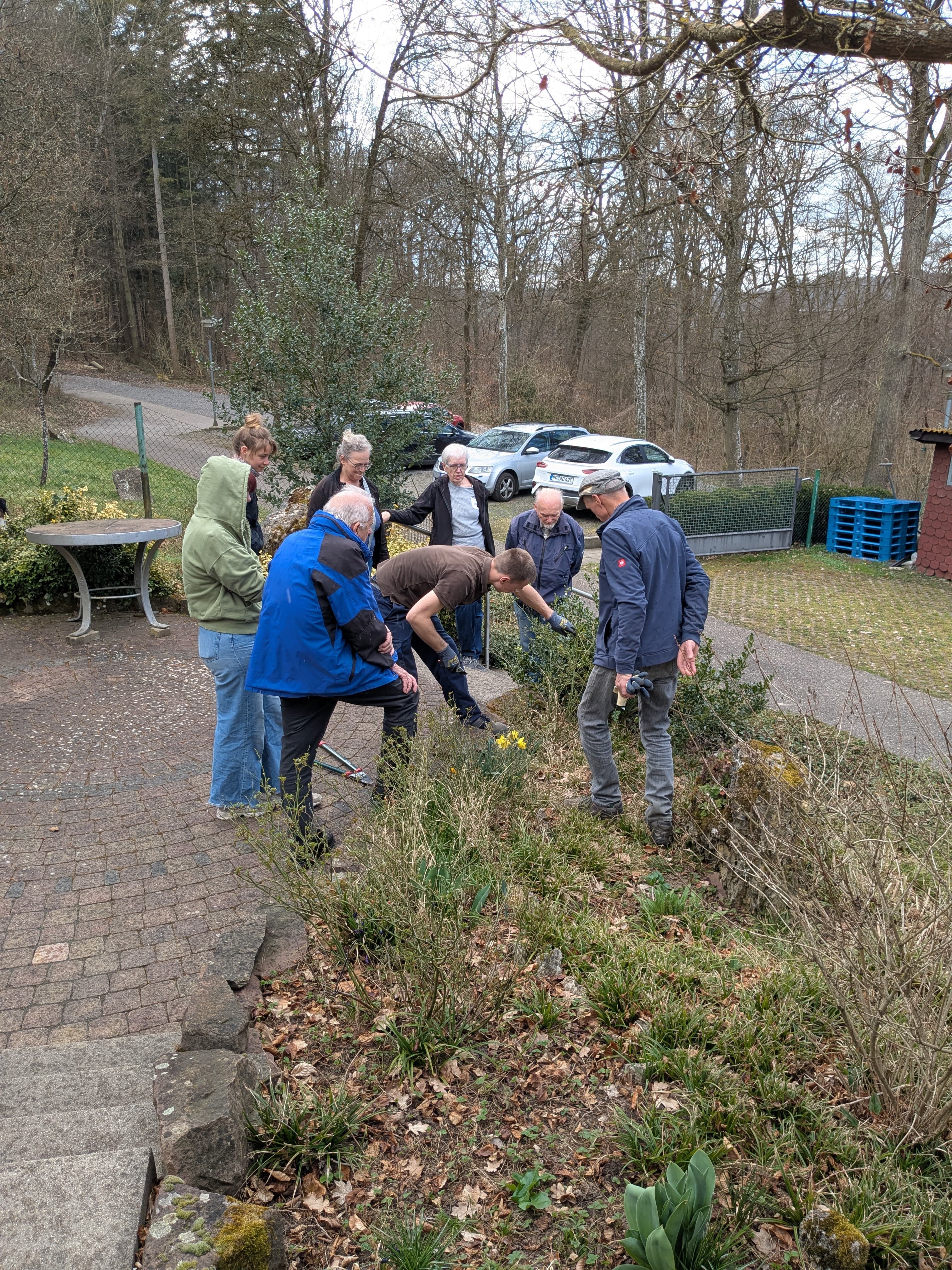Hausgartenschnittkurs